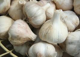 File:Garlic.jpg