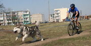 AMbikejoring