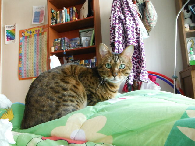 File:DSCF3622.jpg