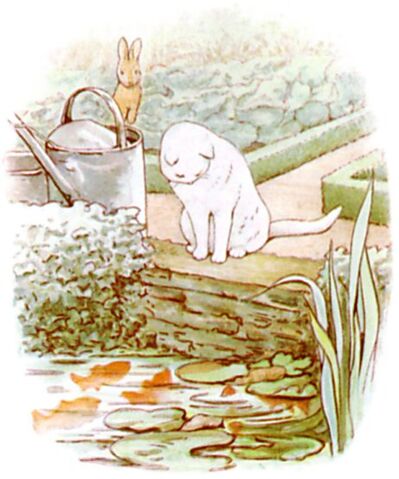 File:Pond.jpg