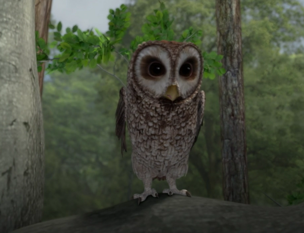 File:Mr-Old-Brown-Owl-From-Peter-Rabbit-Image.png