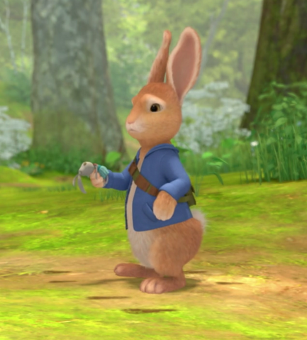 File:Peter-Rabbit-Looking-For-His-Sister-Cotton-Tail-Rabbit.png