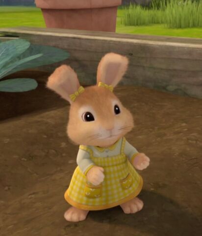 File:Cotton-Tail-Rabbit-Cute-And-Small-Image.jpg