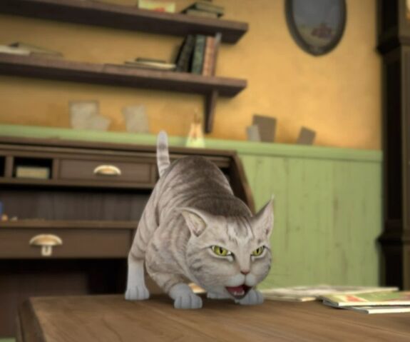 File:Ready-To-Pouns-Cat.jpg