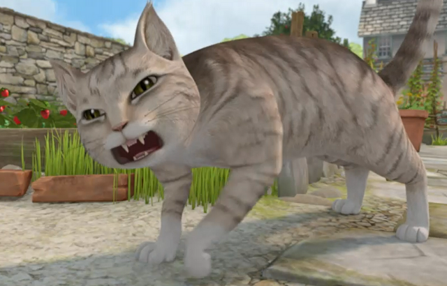 File:Cat-No-Name.png