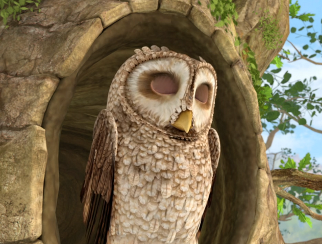 File:Sleeping-Owl-Brown-Image.png