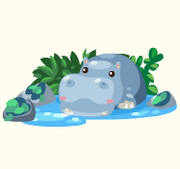 Sleepy hippo pond