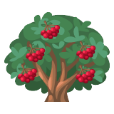 Cranberry tree