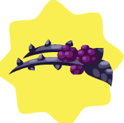 Dark Hat