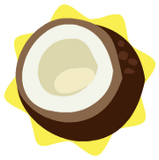 Coconut half
