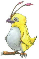 Rag rappy profile