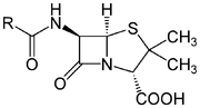 620px-Penicillin core.svg