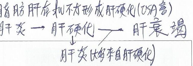 檔案:肝病死亡機轉機轉.jpg