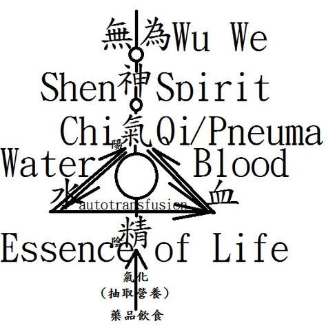 檔案:衛氣營血水精神陰陽2.png