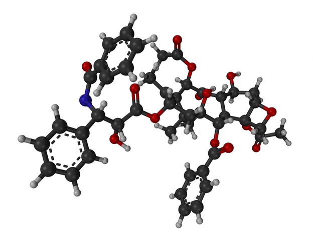 檔案:Zhwp-Taxol(Paclitaxel)3D.png