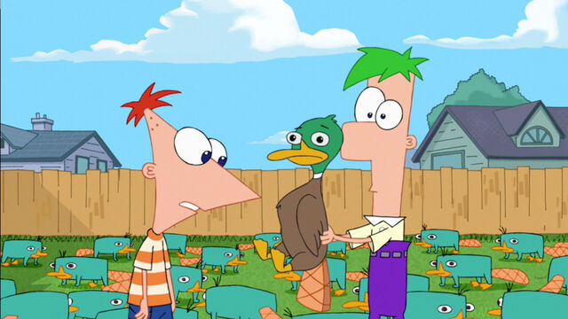 File:Thats just a duck.jpg