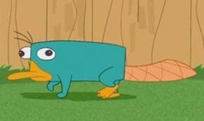 File:Perry in the backyard.jpg