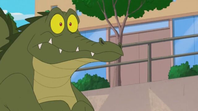 File:Surprised Crocodile.jpg