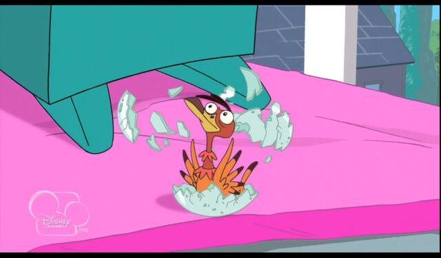 File:The egg hatches.jpg