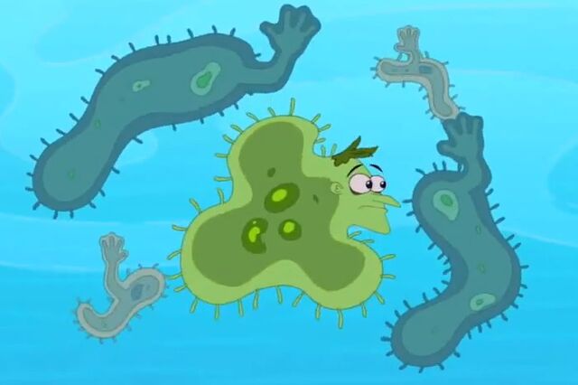 File:Put your pseudopods down.jpg