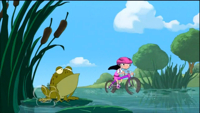 File:Tdf45.png