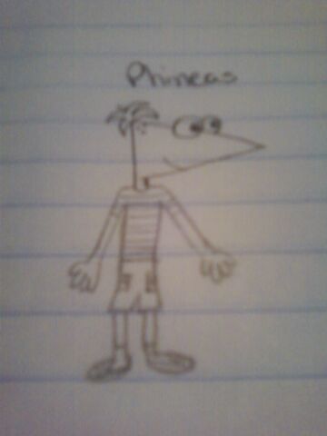 File:My Phineas Drawing.jpg