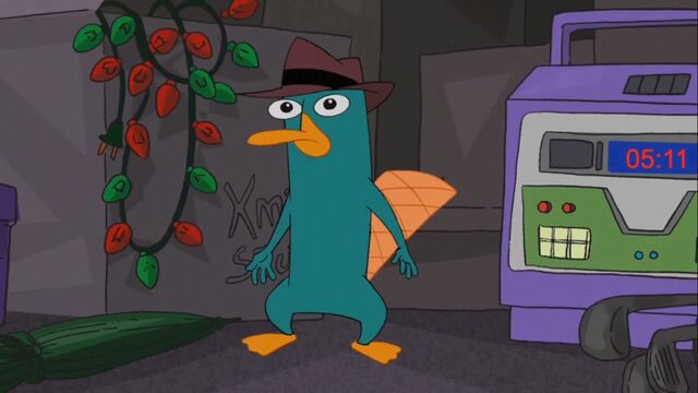 File:PERRY THE PLATYPUS?.jpg