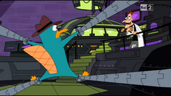 Perry in trappola