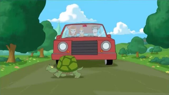 File:A turtle blocks the car from moving.jpg