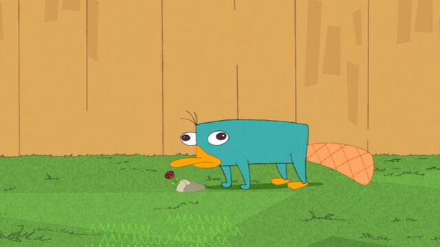 File:Perry and the flower.jpg