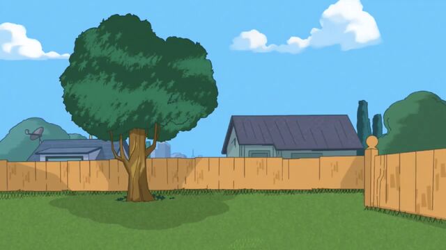 File:WCIM -Empty backyard.jpg