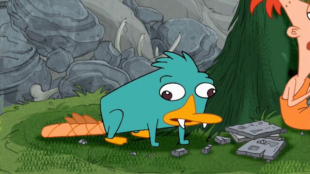 File:Perry in Tri Stone Area.jpg