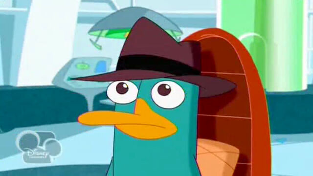 File:ConcernedForDoof.jpg