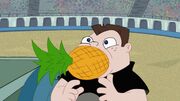 Pineapple stuck in mouth.jpg