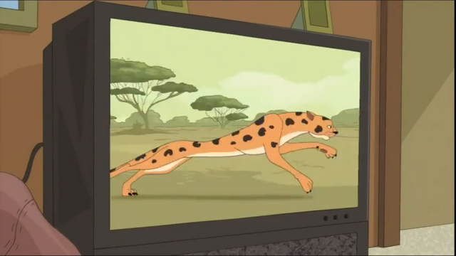 File:CheetahOnTV.png