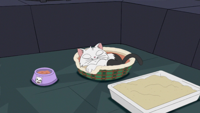 File:Kittysleep.png