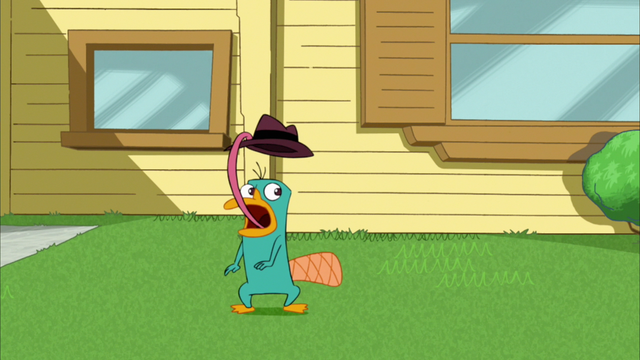 File:Perry lassoing his hat.png