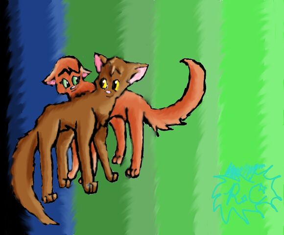 File:Cats -).jpg