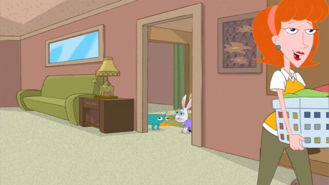 File:Candace must have gotten a new pet.jpg