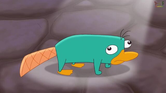 File:Perry hologram.jpg