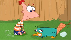 Phineas e Perry