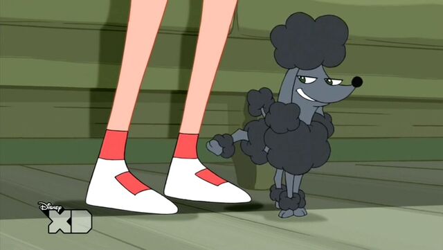 Tập tin:SuzysPoodle.jpg