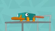 Perry the Inaction Figure