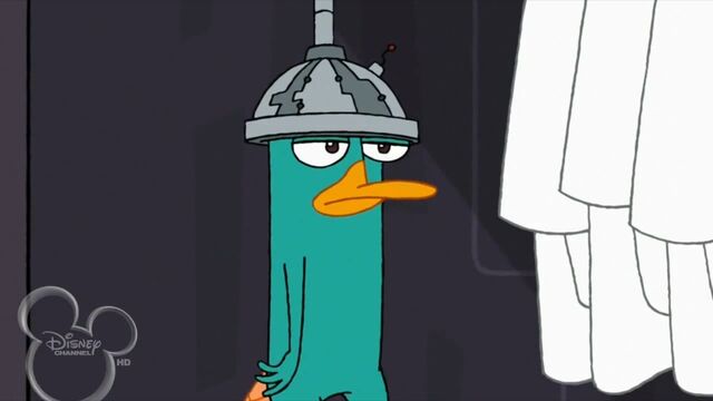 File:Metal casp perry.jpg