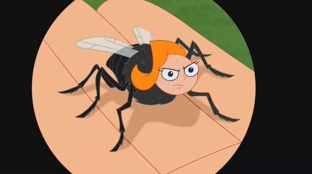 File:Flyonthewall.jpg