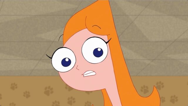 File:What would you even name a platypus?.jpg