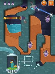 Where's My Perry