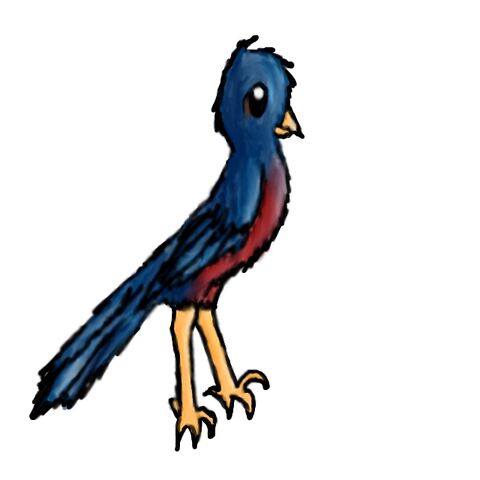 File:MaleRobin.jpg