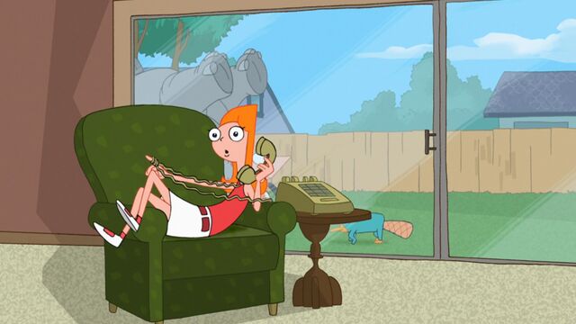 File:Come On Perry.jpg