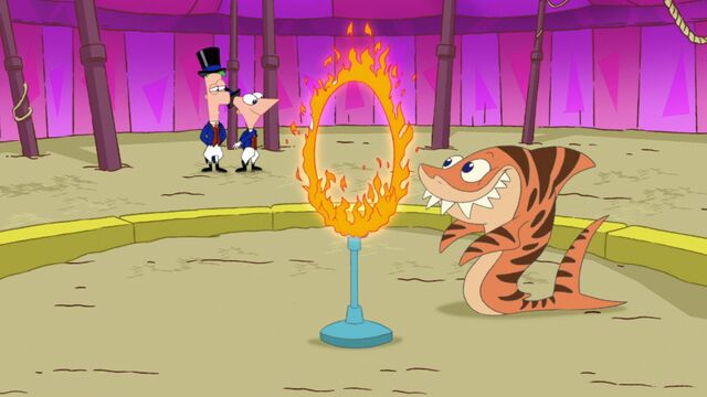File:Taming Tiger Sharks.jpg